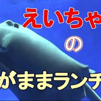 足摺海洋館のぶらり散歩