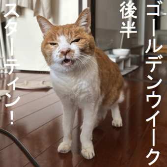 ゴールデンウイーク再び