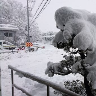 秩父は大雪です。