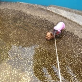 全身くまなく冷やすには