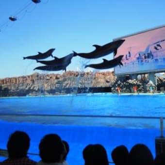 名古屋港水族館