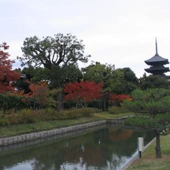 小学校の同窓会と思い出