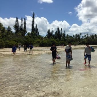 エスティアグループ社員旅行INニューカレドニア