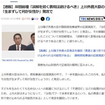 上川外務大臣は発言を撤回する必要はない
