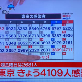 雨の午前中は・・・