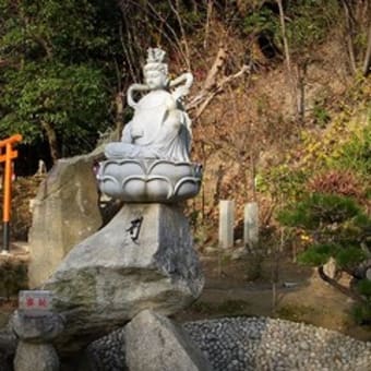 鳥を求めての山歩きではありませんが、、、、