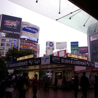 またも雨