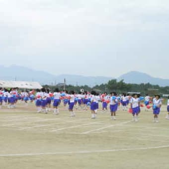 大文字草が咲きましたとＣちゃんの運動会