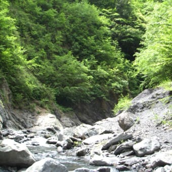 春の早川雨畑川の奥沢谷への釣行