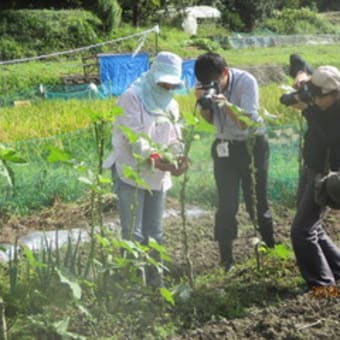 市の広報の取材　あれから9年になります