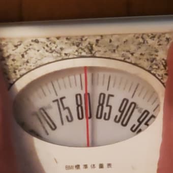 83キロからの56キロまでのダイエット(その1)