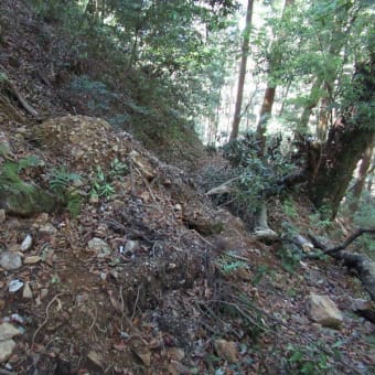 新緑の一徳坊山から編笠山を歩く　その3　２０２４年５月５日