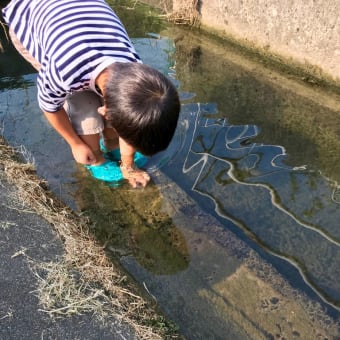 息子その２の自由研究〜2019.8.1時点〜