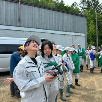 20250610 1年生森林探訪