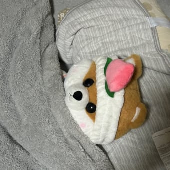 鍋を作りに行ってきたはなし〜