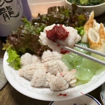 鱧の湯引き＆ホワイトビール