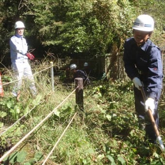 箱根水源地清掃　ボランティア活動