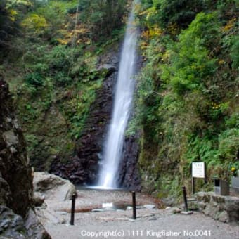 養老の滝