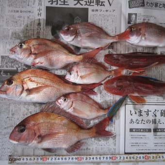 千葉・飯岡沖の花鯛五目釣り。