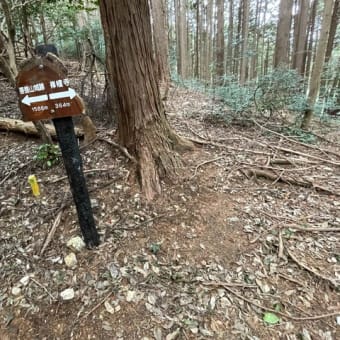 菩提山城に登ってきました