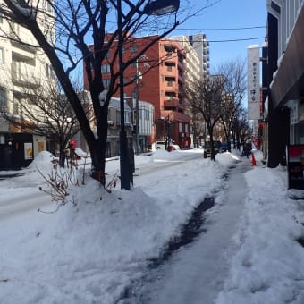 札幌市白石区求人情報
