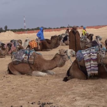 チュニジア旅行（１２）　沙漠にて　再掲