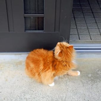 春が進むも恨み節