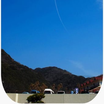 急上昇中・・。