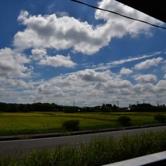小湊鐡道といすみ鉄道で房総半島横断キハの旅（前編）