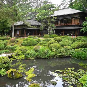 名勝・本間家旧別邸庭園「鶴舞園」に