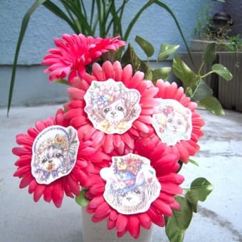 親指姫イメージ『シーズーの花』