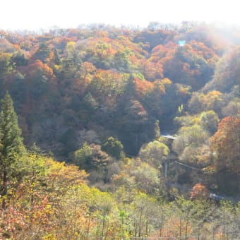 県道５６号線を走って来ました。