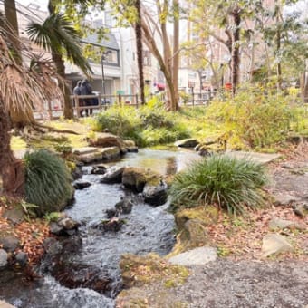 中伊豆、温泉♨️旅行②三島大社⛩️