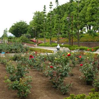 あきる野市の秋留台公園にてポルシェ944S2の写真撮影★