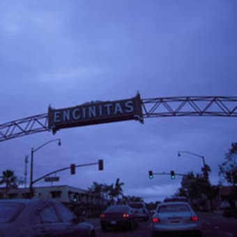 ***L.A TRIP***