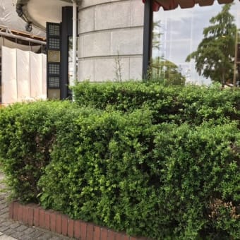 横浜・山下町：S.Weil by HOTEL NEW GRANDさんを知っていますか？
