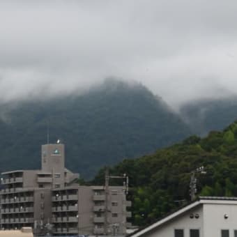 雨がやっと上がってくれて･･･
