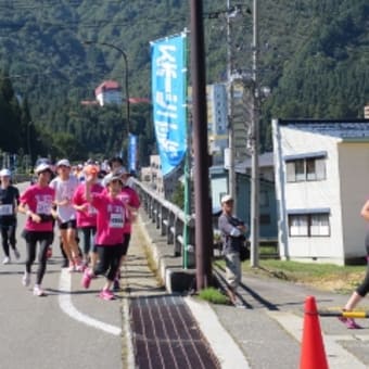 2014越後湯沢秋桜(コスモス)ハーフマラソン☆申し込み締め切り間近です！