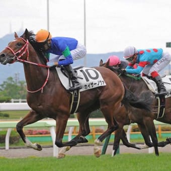 カイザーノヴァ重賞挑戦結果5着