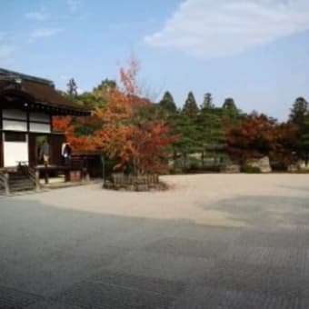 京都の旅　その４　　嵐山・天竜寺・落柿舎・野々宮・仁和寺・知恩院