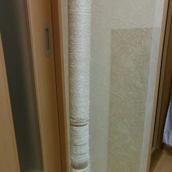ウィンドウベッド