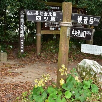 小岱山を散歩