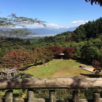 別所温泉森林公園での松茸