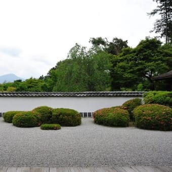 京都　青モミジ100シリーズの「血天井」の正伝寺