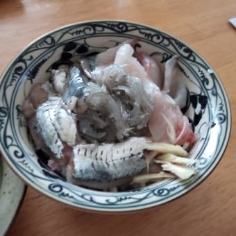 小田原の地魚で海鮮丼