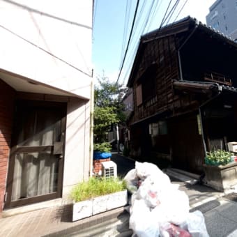 盆栽の技術で大きな木でもヤレる！