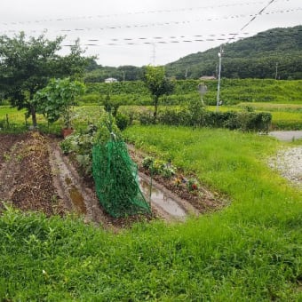 2018/7/8　大雨で･･･