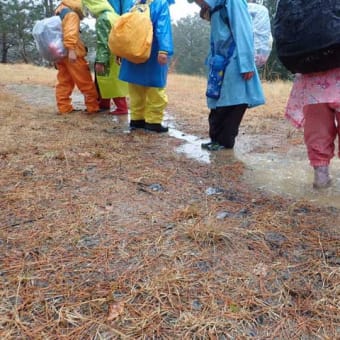 幼児と雨の森