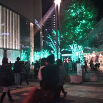 ホンワカパッパ の意味は tra vel blog ホンワカパッパ の意味は tra vel blog