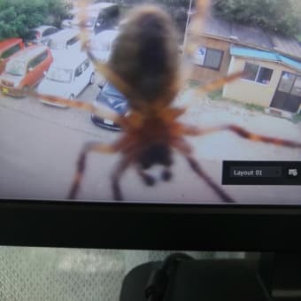 怪獣現る